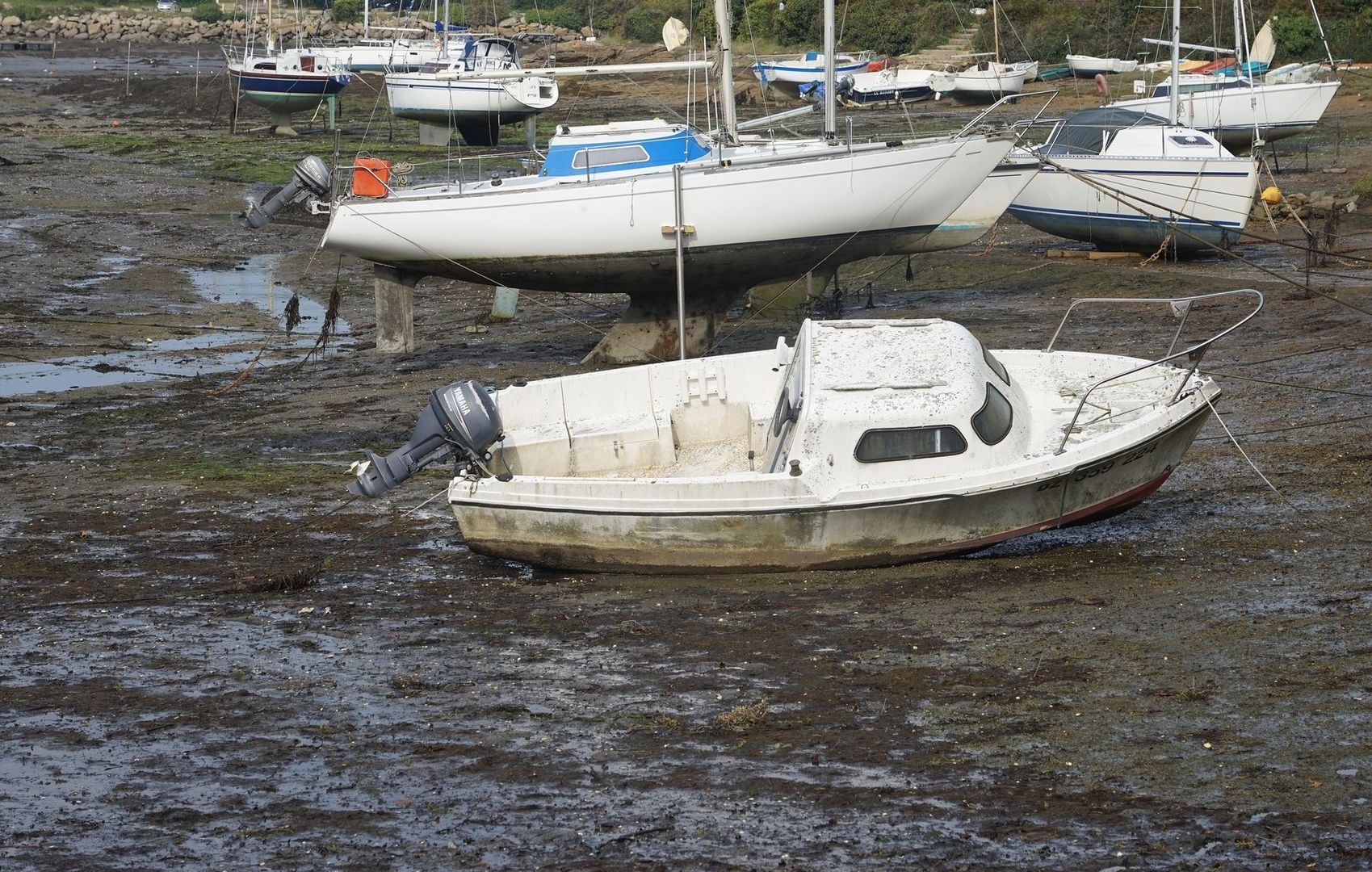 Boote liegen bei Ebbe auf schlammigem Grund im Tidehafen